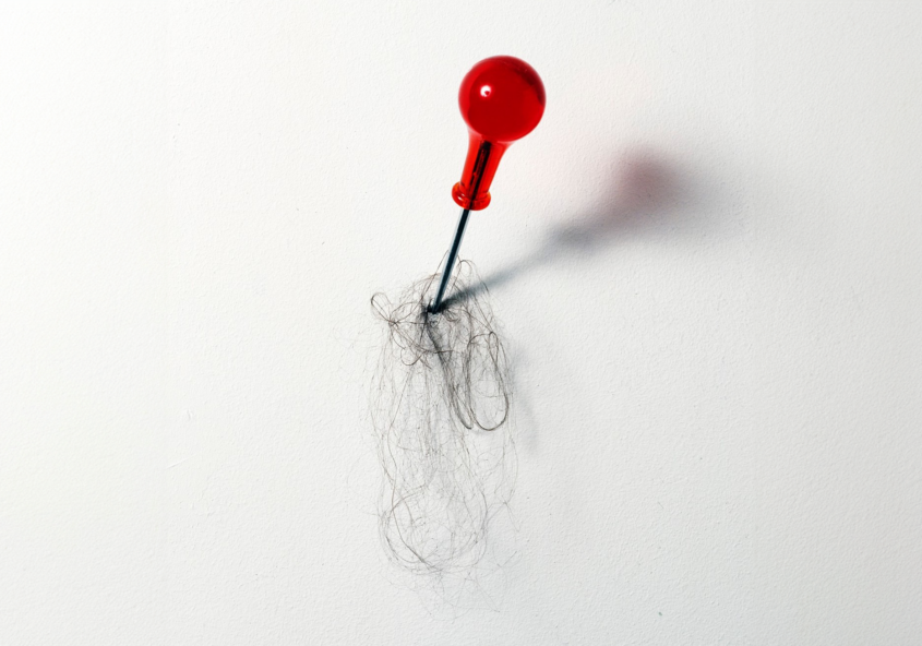 Jytte Høy, art, Copenhagen, Galleri Maria Friis