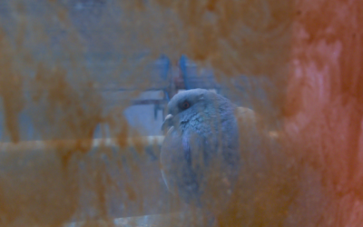 Stense Andrea Lind-Valdan, art, Copenhagen, Galleri Maria Friis