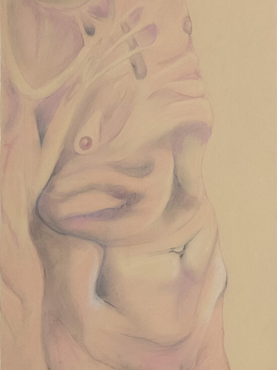 Nanna Starck, art, Copenhagen, Galleri Maria Friis